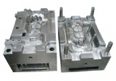 Molds Show